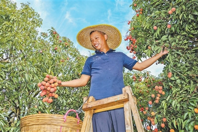 2025最可靠的网上股票配资公司 蓝莓、荔枝、樱桃等水果大幅降价, 果农有赚头吗?